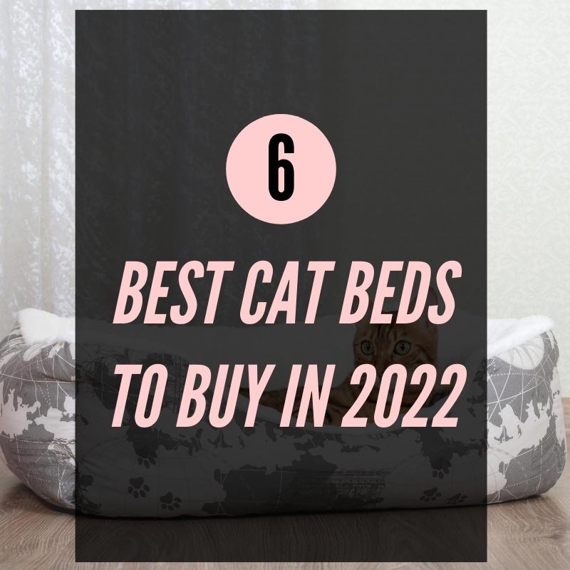 6 Best Cat Beds to Buy in 2023