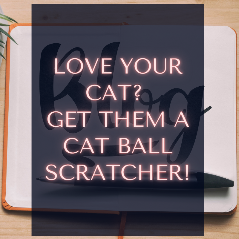 Love Your Cat? Get Them a Cat Ball Scratcher!