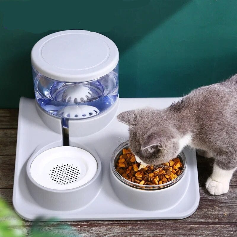 1.8L Pet Automatic Feeder Cat Casual