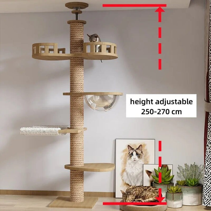 Adjustable Cat Tree House Tower Cat Casual