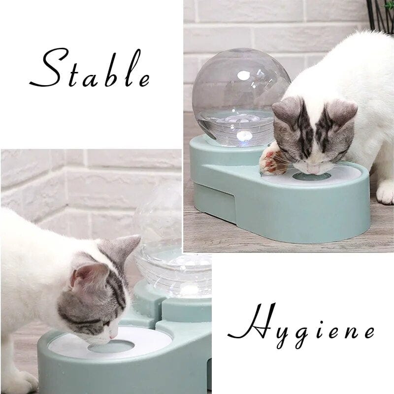 Bubble Automatic Cat Water Fountain Cat Casual