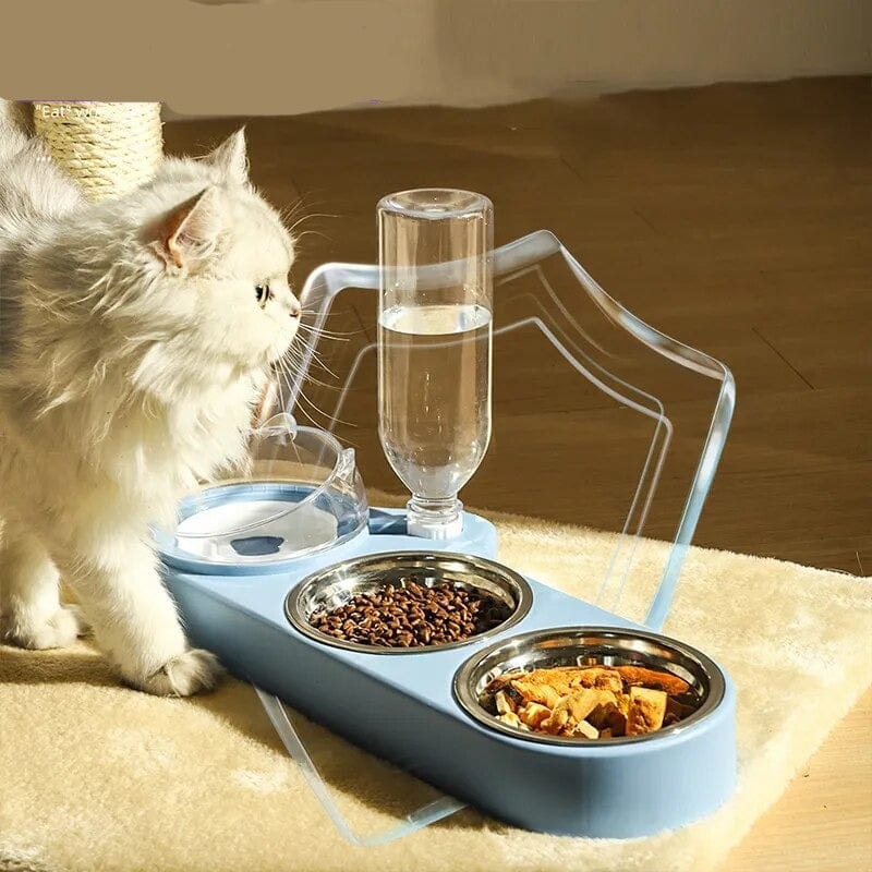 Cat Bowl Food Basin Cat Casual