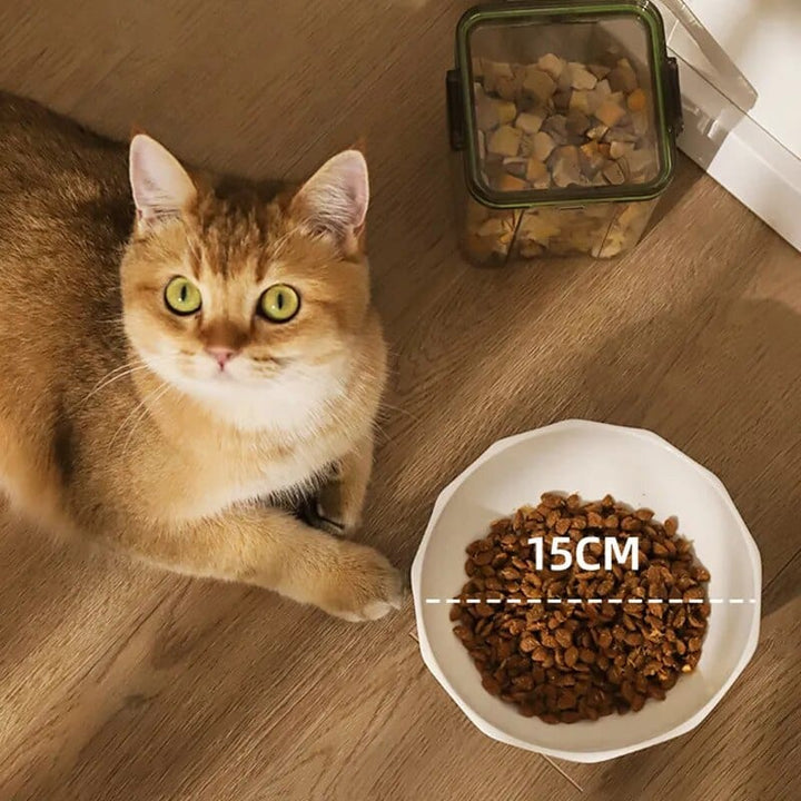 Cat Ceramic Food Water Bowl Cat Casual