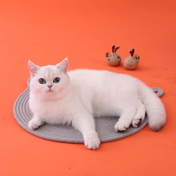 Cat Food Bowl Mat Cat Casual