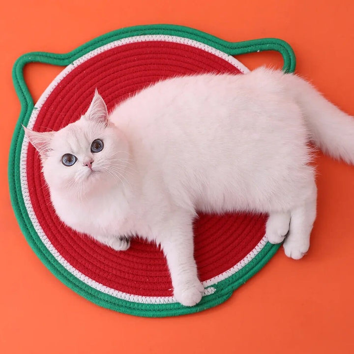 Red Cat Food Bowl Mat Cat Casual