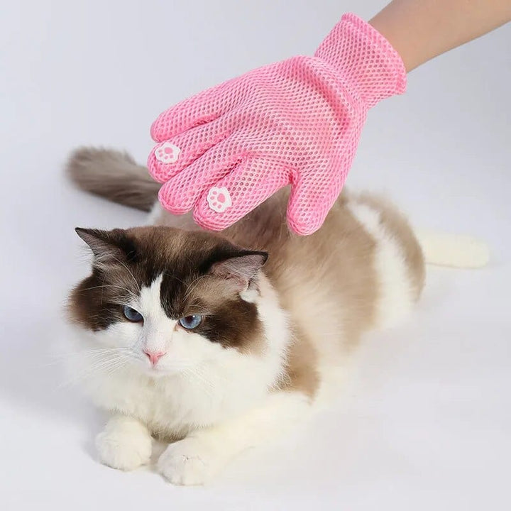 Combing Gloves Cat Grooming Cat Casual