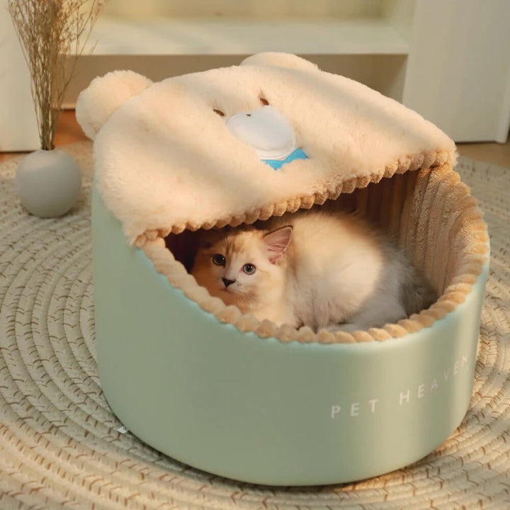 Cute Cat Nest Cat Casual