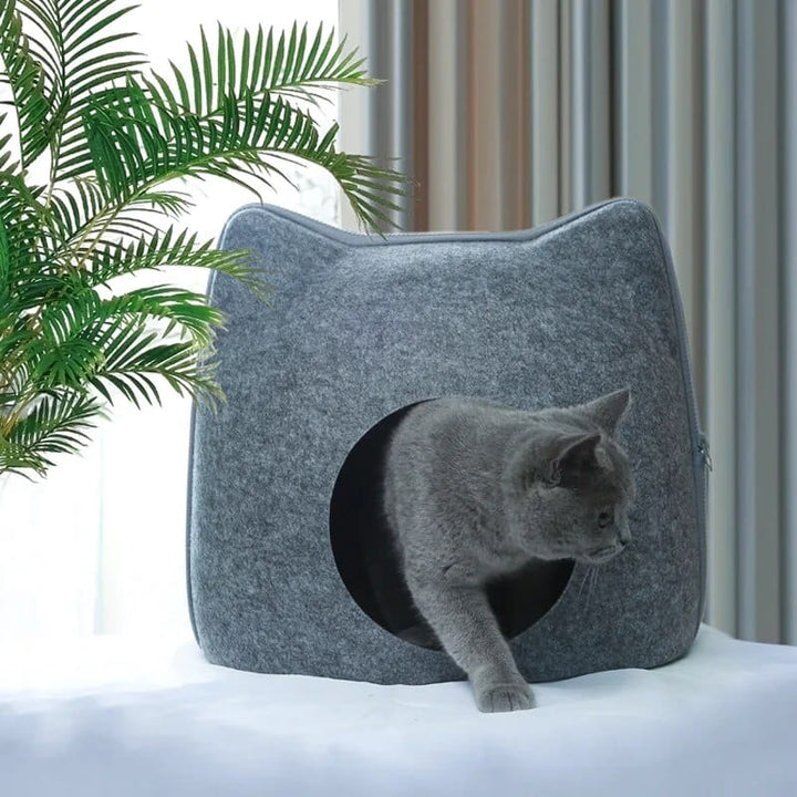 Dark grey / free size Felt Cat House Cat Casual
