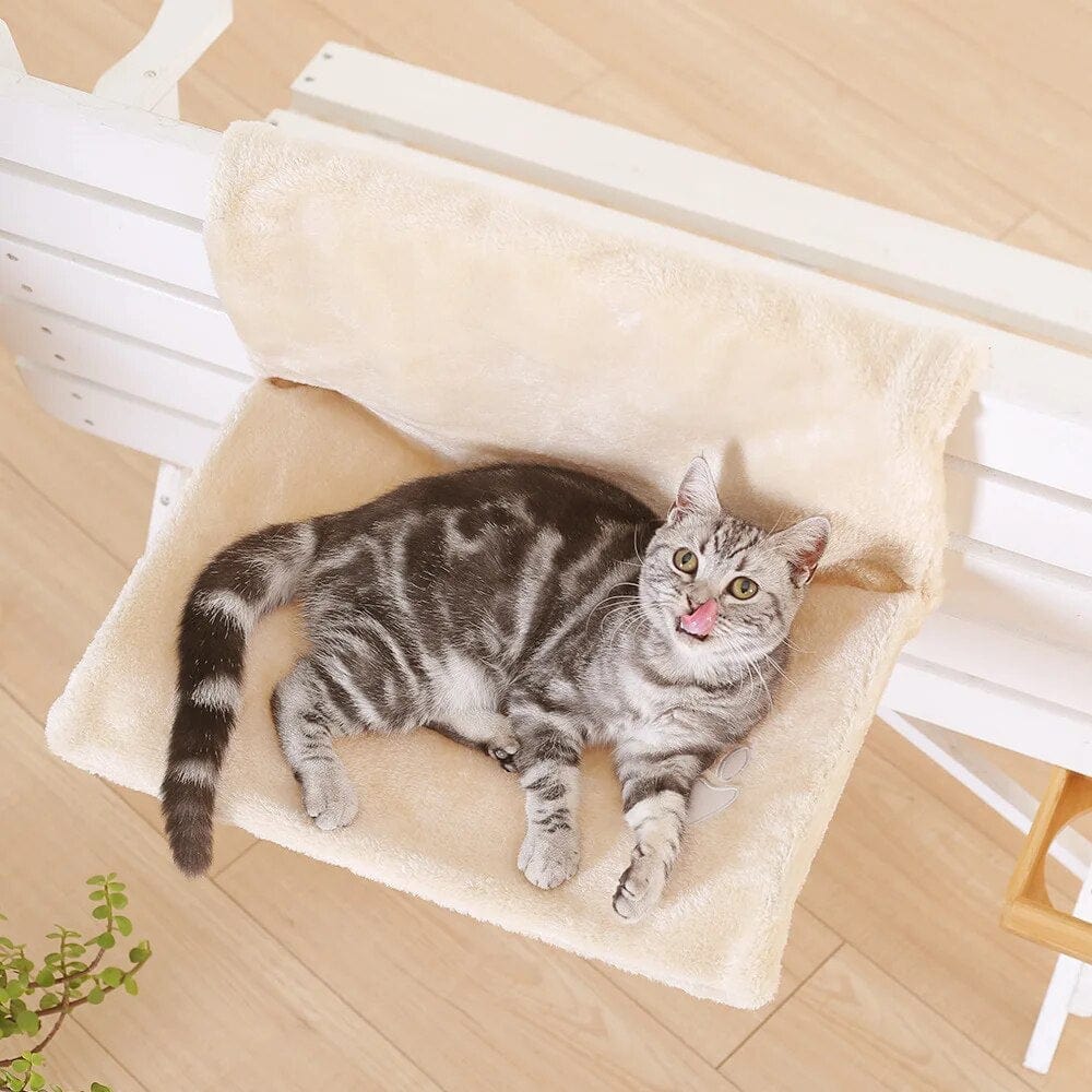 Hanging Bed Hammock Cat Casual