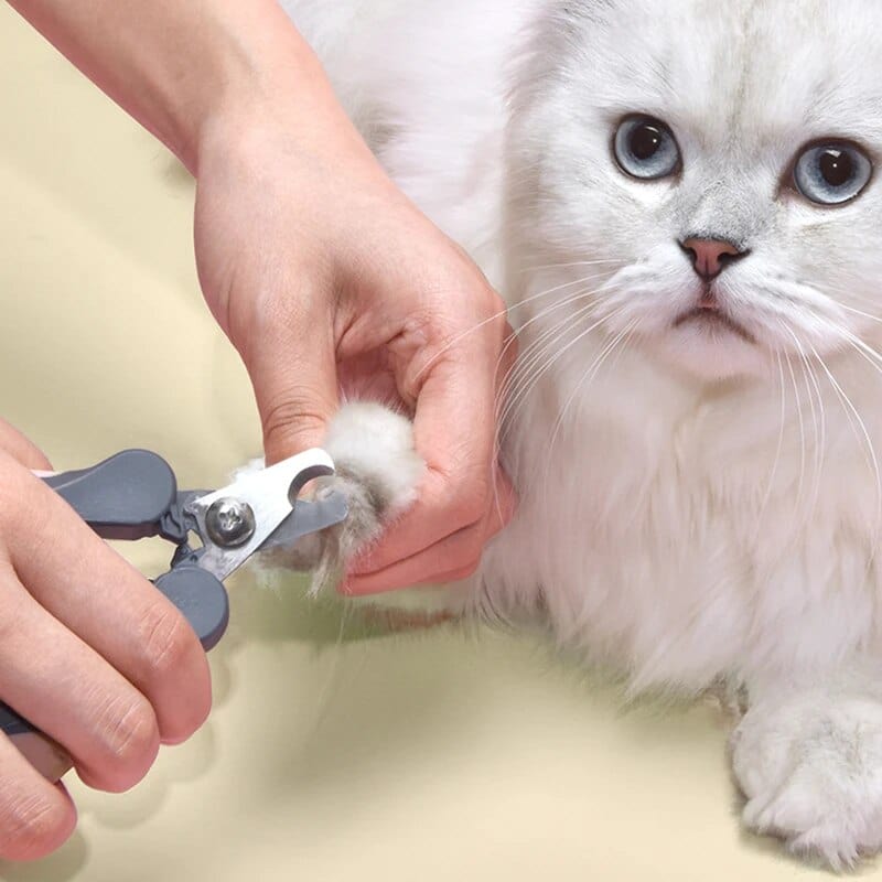 Nail Clipper Cat Grooming Cat Casual