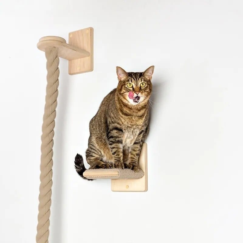 Pet Cat Scratchers Cat Casual