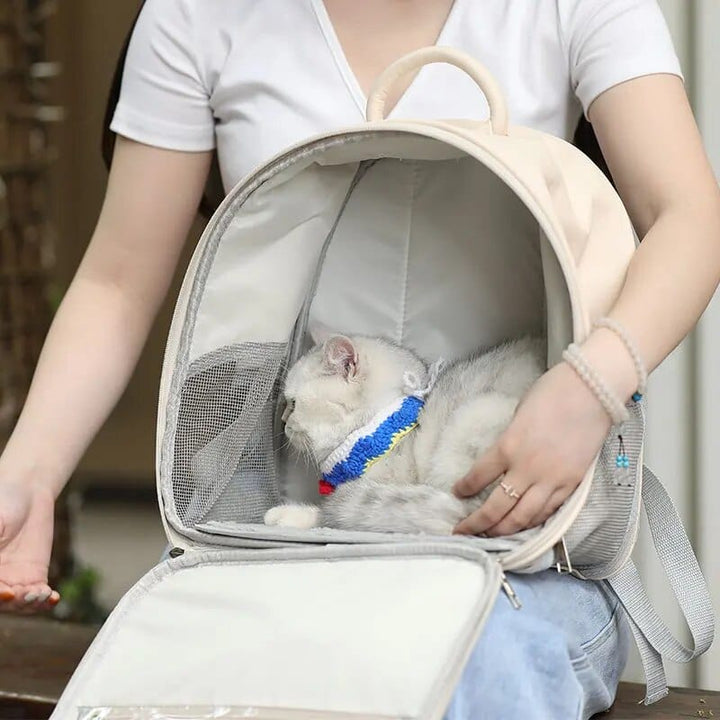 Small Cat Carrier Bags Cat Casual