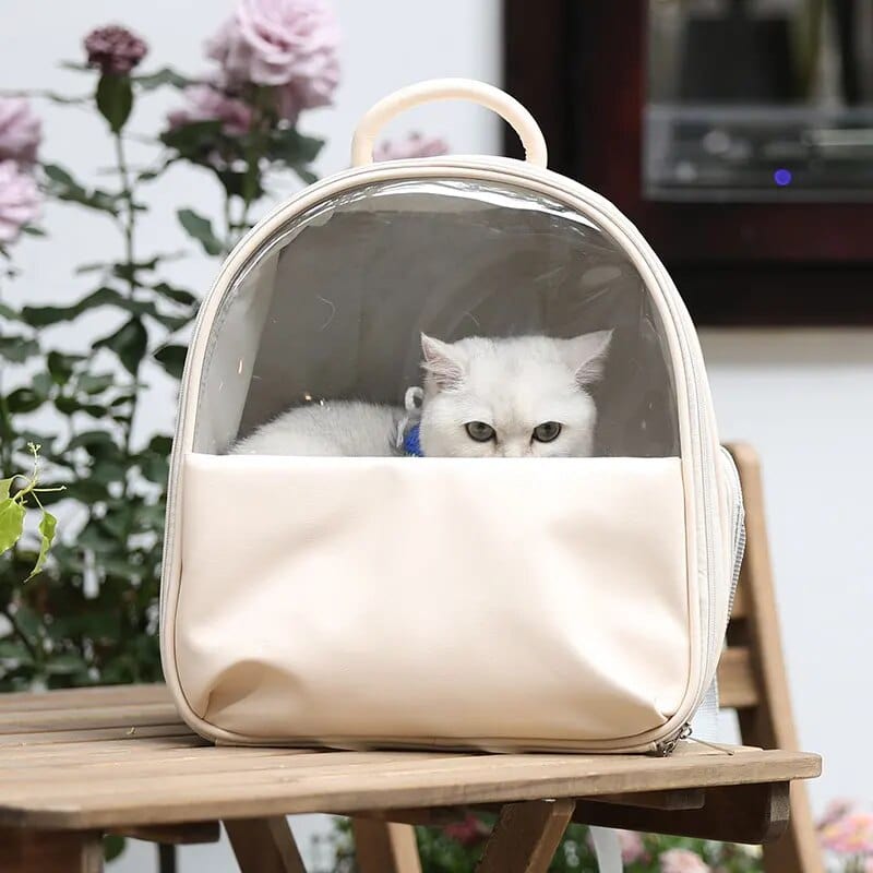 Small Cat Carrier Bags Cat Casual