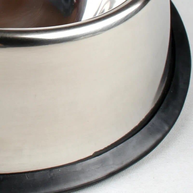Stainless Steel Feeder Cats Bowls Cat Casual
