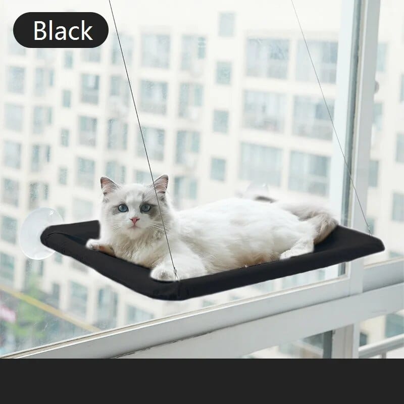 black Window Cat Hammock Cat Casual