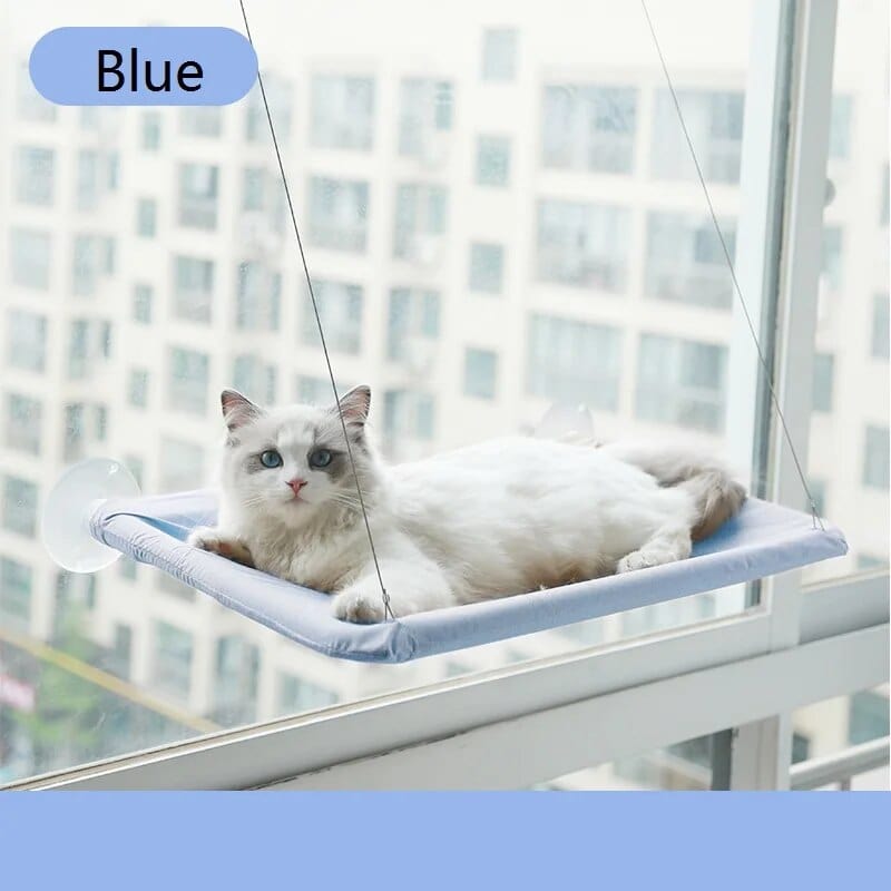 blue Window Cat Hammock Cat Casual